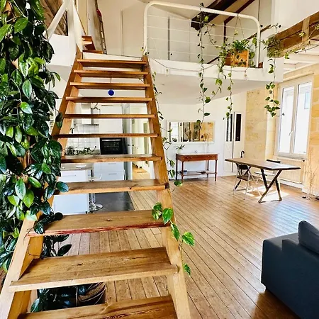 Apartment Magnificent In The Heart Of Bordeaux