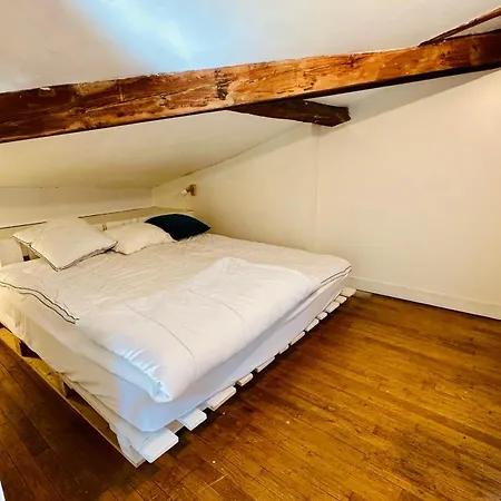 Apartment Magnificent In The Heart Of Bordeaux